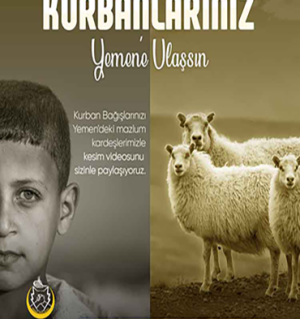 YEMENE KURBAN (VACİP, AKİKA, ADAK ve HAYIR KURBANI)